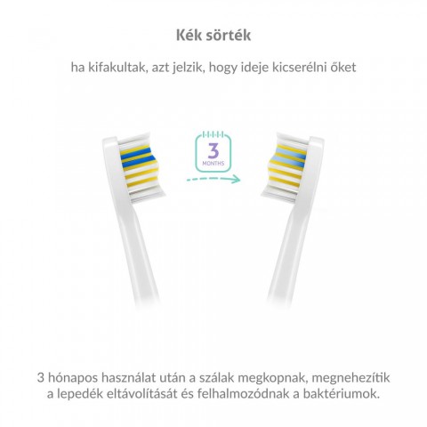 TrueLife Compact Duo Elektromos fogkefe 2 db Fekete Lila TrueLife Compact Duo Elektromos fogkefe 2 db Fekete Lila