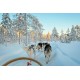 LAMAX X9.1 4K 30FPS 2" TFT LCD Wifi akciókamera