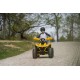 LAMAX eBumbleBee ATV60M