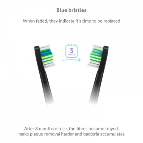 TrueLife Elektromos fogkefe pótfej, Black Standard