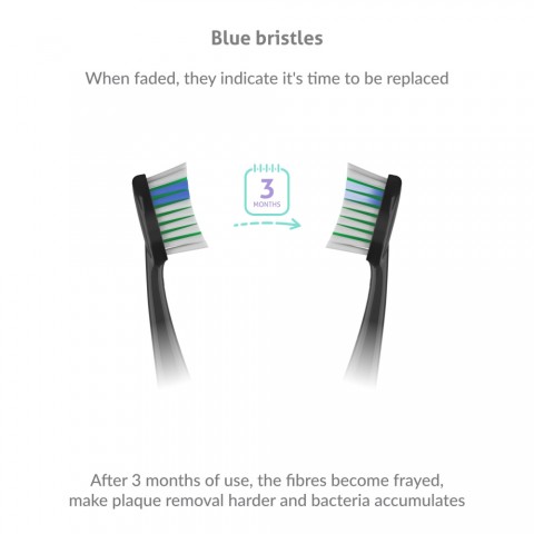 TrueLife SonicBrush K150 UV Heads Standard pótfej