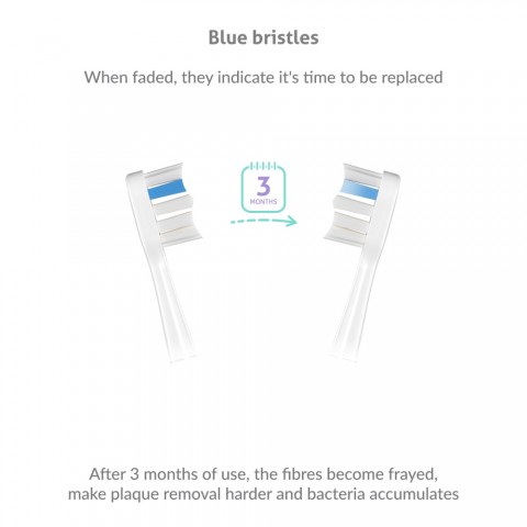 TrueLife Sonicbrush UV fogkefe fej - szenzitív (3db)