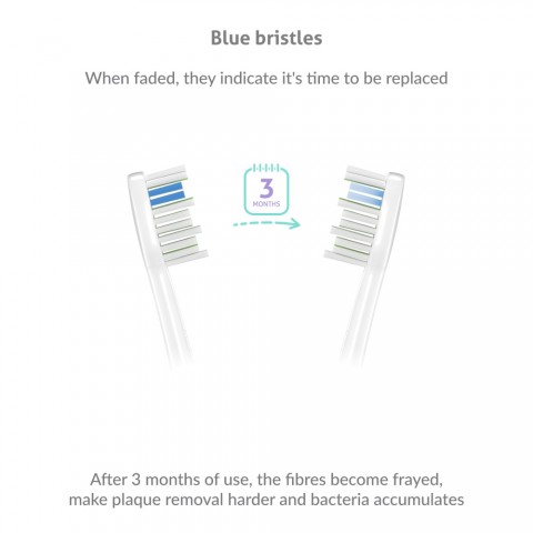 TrueLife SonicBrush UV Heads White Standard 8 Pack pótfej