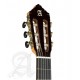 Alhambra Gitár Német lucfenyő tömör ciprusfa ébenfa fogólap Tokkal.