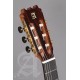 Alhambra Gitár Német lucfenyő tömör indiai rózsafa ébenfa fogólap Tokkal