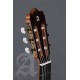 Alhambra Gitár Tömör lucfenyő fügefa ébenfa fogólap orange lakk átlátszó pickguard