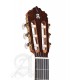 Alhambra Gitár 5 P CW E8