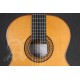 Alhambra Gítár Cédrus Tömör cirikóta (koncert méret) ébenfa fogólap Tokkal