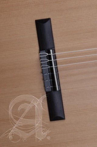 Alhambra Gitár Z-Nature CW EZ cédrus mahagóni indiai rózsafa fogólap Fishman előerősítő tokkal