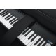 Gator Könnyű EPS szivacsos merev keyboard táska kerékkel 49 billentyűs hangszerhez