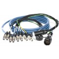 Klotz OmniSTAR - RMP 37p papa - 12x XLR mama 12-cs. - digitális fanout - PUR - 6m