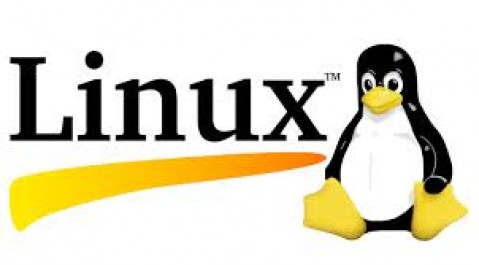 Linux STB