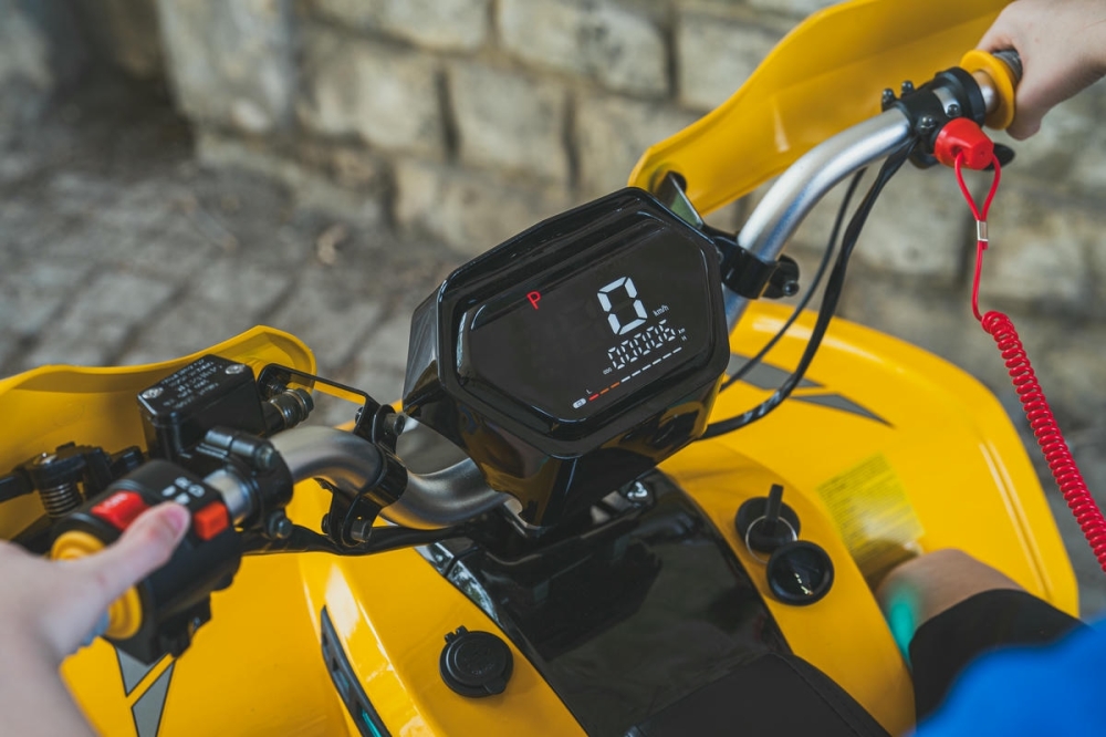 Egy biztonságos ragadozó