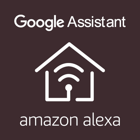 Google Home és Alexa asszisztensek