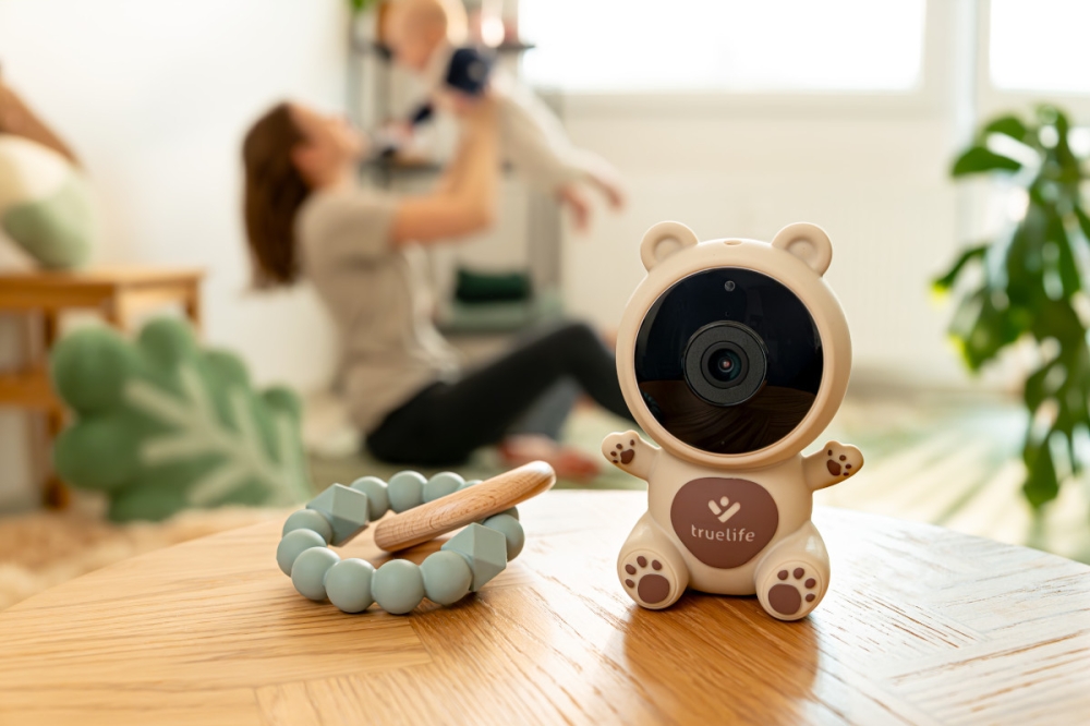 Teddy mackó az őrségben